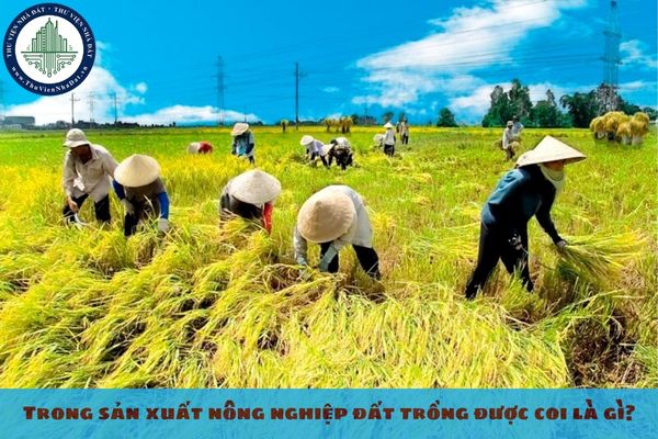 Trong sản xuất nông nghiệp đất trồng được coi là gì?