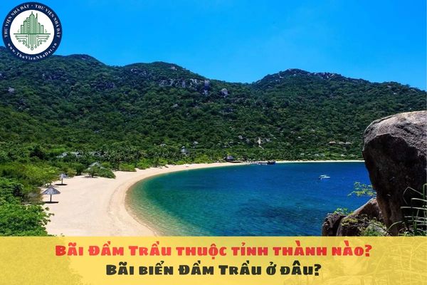 Bãi Đầm Trầu thuộc tỉnh thành nào? Bãi biển Đầm Trầu ở đâu?