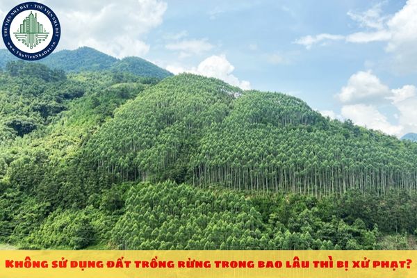 Không sử dụng đất trồng rừng trong bao lâu thì bị xử phạt?