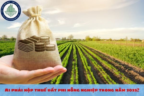 Ai phải nộp thuế đất phi nông nghiệp trong năm 2025?