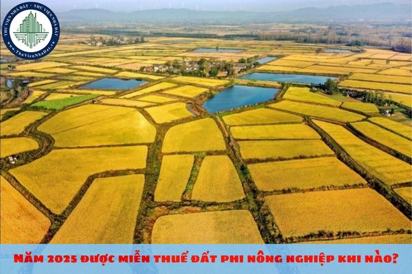 Năm 2025 được miễn thuế đất phi nông nghiệp khi nào?