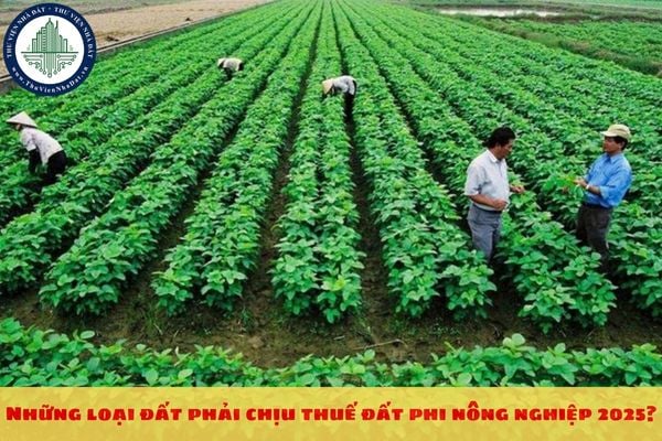 Những loại đất phải chịu thuế đất phi nông nghiệp 2025?