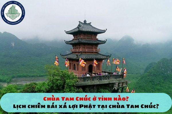 Chùa Tam Chúc ở tỉnh nào? Lịch chiêm bái xá lợi Phật tại chùa Tam Chúc?