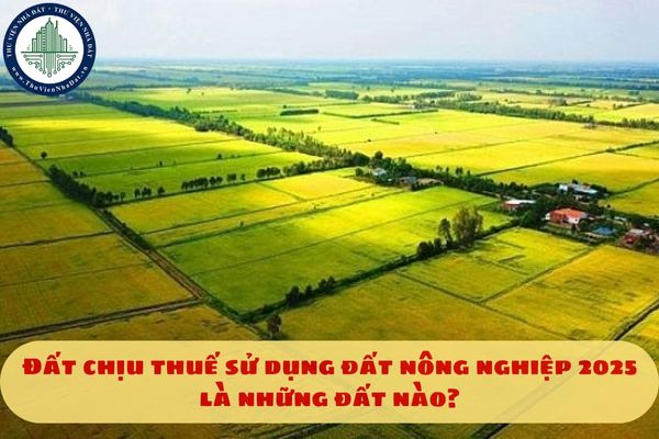 Đất chịu thuế sử dụng đất nông nghiệp 2025 là những đất nào?
