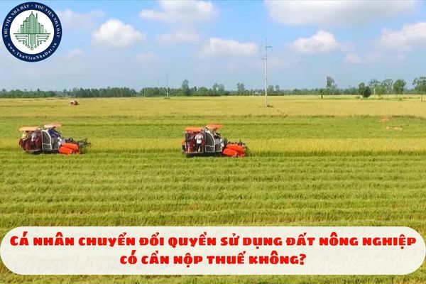 Cá nhân chuyển đổi quyền sử dụng đất nông nghiệp có cần nộp thuế không?