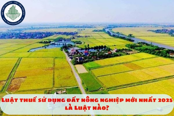 thuviennhadat.vn