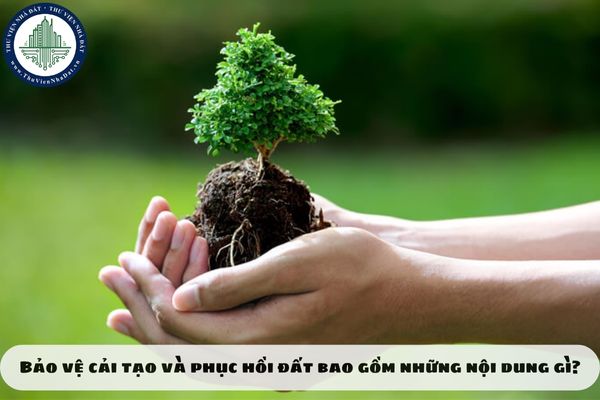 Bảo vệ cải tạo và phục hồi đất bao gồm những nội dung gì?