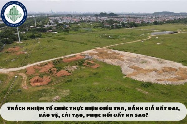 Trách nhiệm tổ chức thực hiện điều tra, đánh giá đất đai, bảo vệ, cải tạo, phục hồi đất ra sao?
