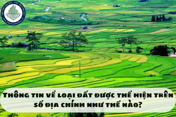 Thông tin về loại đất được thể hiện trên sổ địa chính như thế nào?