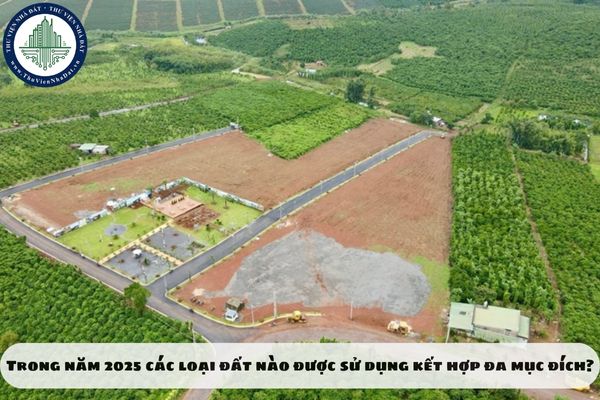 Trong năm 2025 các loại đất nào được sử dụng kết hợp đa mục đích?