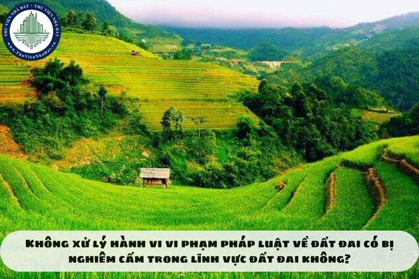 Không xử lý hành vi vi phạm pháp luật về đất đai có bị nghiêm cấm trong lĩnh vực đất đai không?