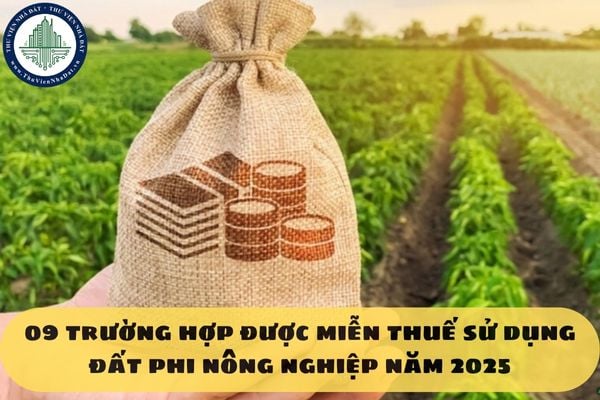 09 trường hợp được miễn thuế sử dụng đất phi nông nghiệp năm 2025