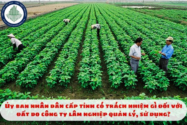 Ủy ban nhân dân cấp tỉnh có trách nhiệm gì đối với đất do công ty lâm nghiệp quản lý, sử dụng?