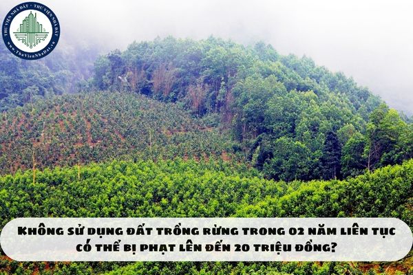Không sử dụng đất trồng rừng trong 02 năm liên tục có thể bị phạt lên đến 20 triệu đồng?