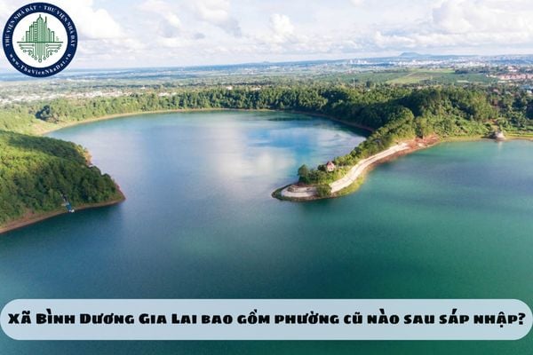 Xã Bình Dương Gia Lai bao gồm phường cũ nào sau sáp nhập?