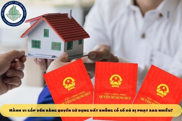 Hành vi góp vốn bằng quyền sử dụng đất không có sổ đỏ bị phạt bao nhiêu?