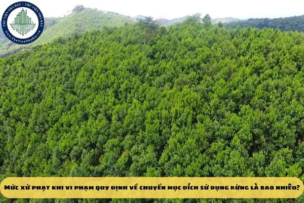 Mức xử phạt khi vi phạm quy định về chuyển mục đích sử dụng rừng là bao nhiêu?