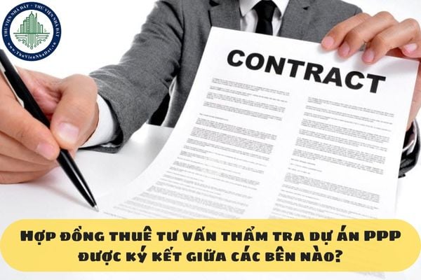 Hợp đồng thuê tư vấn thẩm tra dự án PPP được ký kết giữa các bên nào?