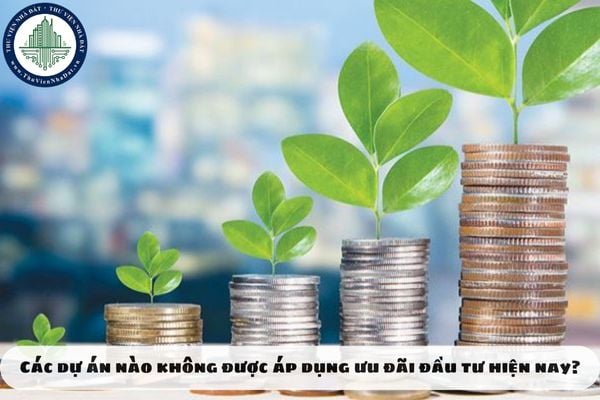 Các dự án đầu tư nào không được áp dụng ưu đãi đầu tư hiện nay?
