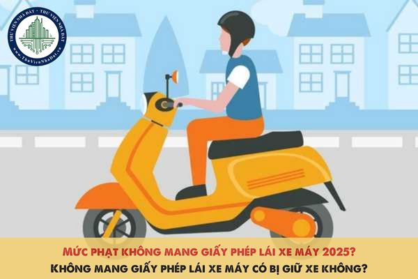 Mức phạt không mang giấy phép lái xe máy 2025? Không mang giấy phép lái xe máy có bị giữ xe không?