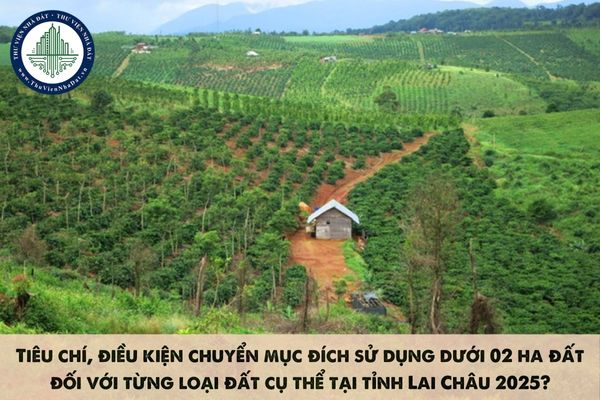 Tiêu chí, điều kiện chuyển mục đích sử dụng dưới 02 ha đất đối với từng loại đất cụ thể tại tỉnh Lai Châu 2025?