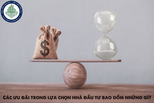 Các ưu đãi trong lựa chọn nhà đầu tư bao gồm những gì?