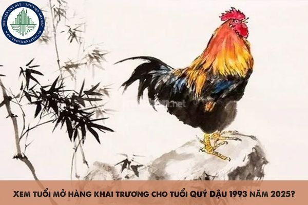 Xem tuổi mở hàng khai trương cho tuổi Quý Dậu 1993 năm 2025?