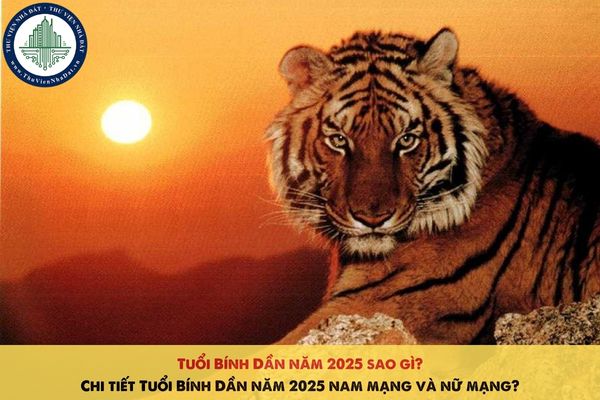 Tuổi Bính Dần năm 2025 sao gì? Chi tiết Tuổi Bính Dần năm 2025 nam mạng và nữ mạng?