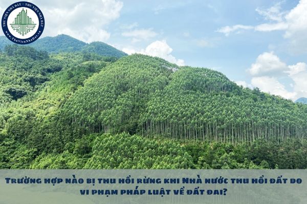 Trường hợp nào bị thu hồi rừng khi Nhà nước thu hồi đất do vi phạm pháp luật về đất đai?