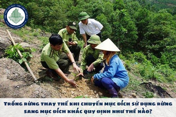 Trồng rừng thay thế khi chuyển mục đích sử dụng rừng sang mục đích khác quy định như thế nào?