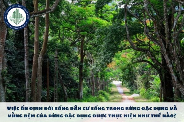 Việc ổn định đời sống dân cư sống trong rừng đặc dụng và vùng đệm của rừng đặc dụng được thực hiện như thế nào?