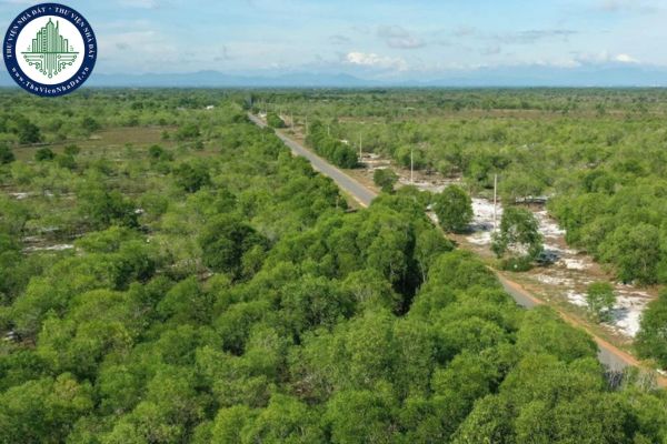 Đất rừng phòng hộ thuộc nhóm đất nào? Đất rừng phòng hộ có phải là đất sử dụng có thời hạn?