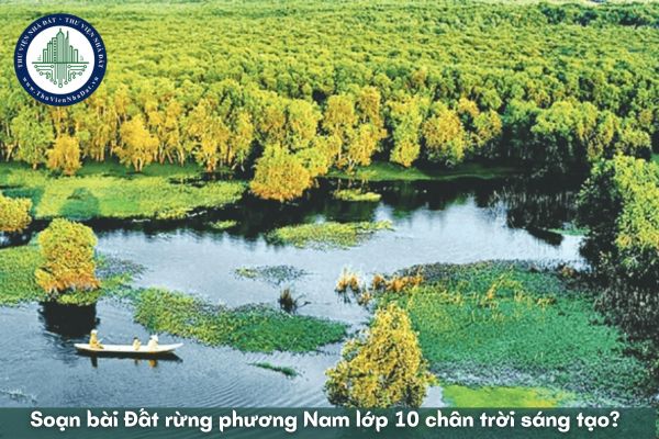 Soạn bài Đất rừng phương Nam lớp 10 chân trời sáng tạo? Soạn văn bản Đất rừng phương Nam