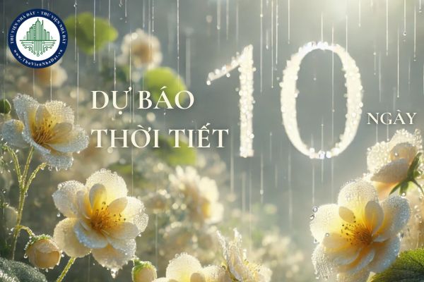 Dự báo thời tiết 10 ngày tới cả nước? Tết Dương lịch có mưa không? Có lạnh không?