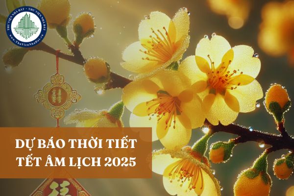 Dự báo thời tiết Tết Âm lịch năm 2025 cả nước? Thời tiết Tết Âm lịch 2025 3 miền ra sao?