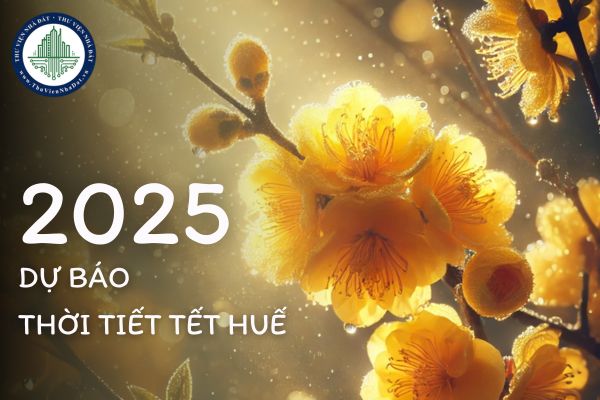 Dự báo thời tiết Tết Nguyên đán 2025 Huế? Tết năm nay có lạnh không 2025?