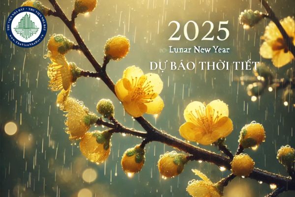 Dự báo thời tiết Tết Nguyên Đán 2025 mới nhất? Tết năm nay nóng hay lạnh?