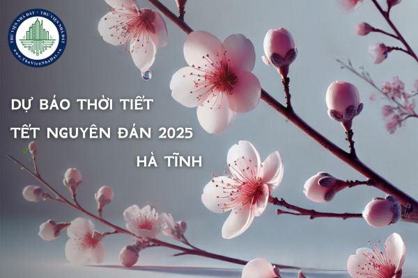 Dự báo thời tiết Tết Nguyên đán 2025 Hà Tĩnh? Tết 2025 Hà Tĩnh lạnh không?