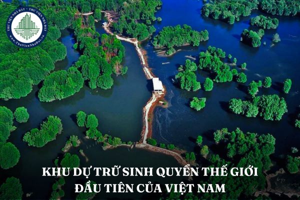 Khu dự trữ sinh quyển thế giới đầu tiên của Việt Nam được UNESCO công nhận là khu vực nào? Nằm ở đâu?