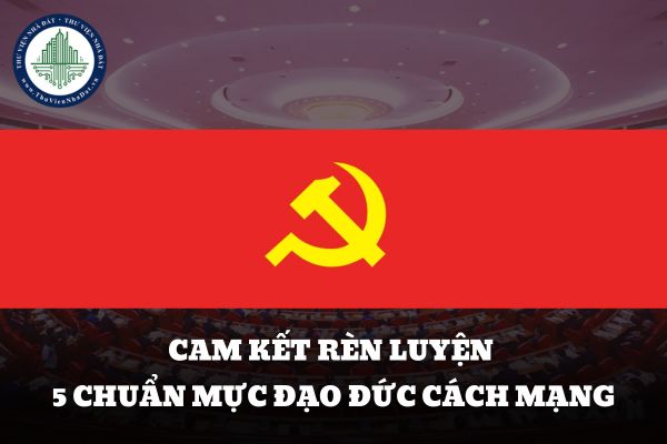 Mẫu bản cam kết rèn luyện 5 chuẩn mực đạo đức cách mạng 2025 viết sẵn