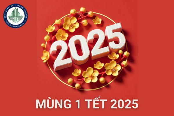 Mùng 1 Tết 2025 là ngày mấy âm lịch? Pháo hoa tết 2025 giá bao nhiêu?