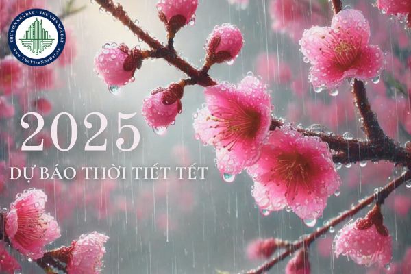 Tết Âm lịch 2025 miền Bắc có lạnh không? Dự báo thời tiết Tết Nguyên Đán 2025 Bắc Bộ 