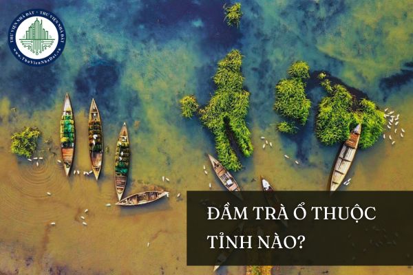 Đầm Trà Ổ ở nước ta thuộc tỉnh nào? Đầm Trà Ổ ở đâu?