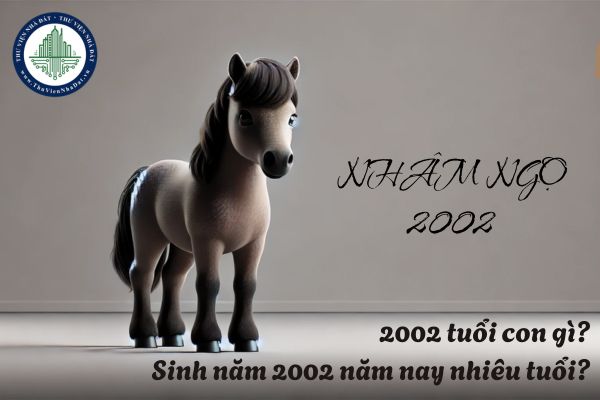 2002 tuổi con gì? Sinh năm 2002 năm nay nhiêu tuổi? Tuổi Thìn 2025 hết tam tai chưa? 