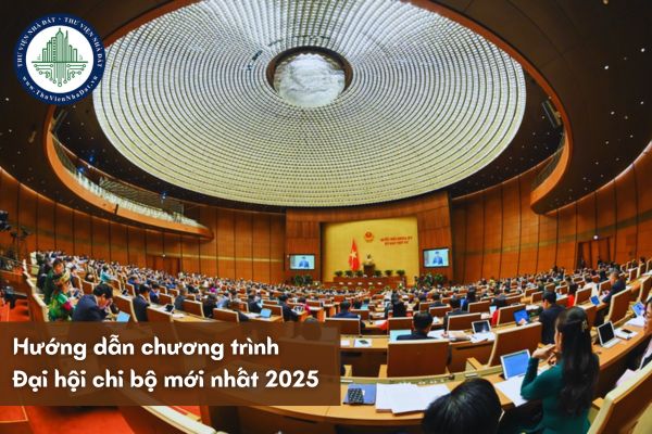 Hướng dẫn chương trình Đại hội chi bộ mới nhất 2025 