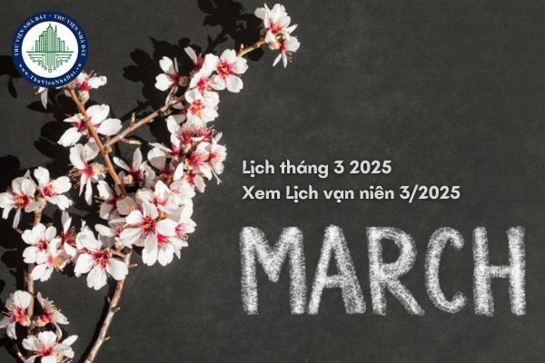 Lịch tháng 3 2025? Xem Lịch vạn niên tháng 3 năm 2025