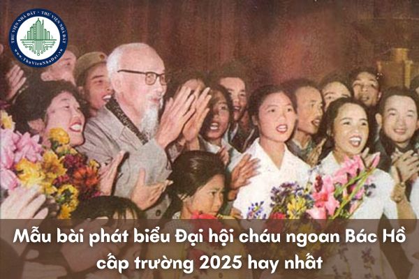 Mẫu bài phát biểu đại hội cháu ngoan Bác Hồ cấp trường 2025 mới nhất 