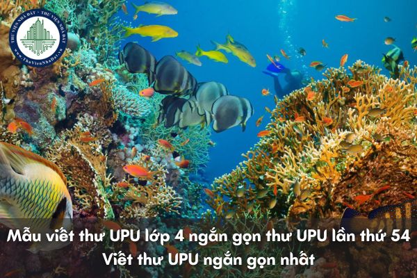 Mẫu viết thư UPU lớp 4 ngắn gọn thư UPU lần thứ 54? Viết thư UPU ngắn gọn nhất?