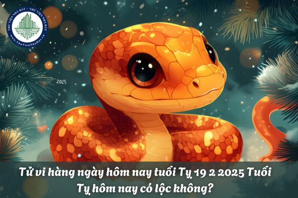 Tử vi hàng ngày hôm nay tuổi Tỵ 19 2 2025? Tuổi Tỵ hôm nay có lộc không?