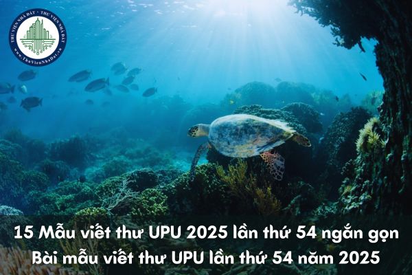 15 Mẫu viết thư UPU lần thứ 54 năm 2025 ngắn gọn? Bài mẫu viết thư UPU lần thứ 54 năm 2025